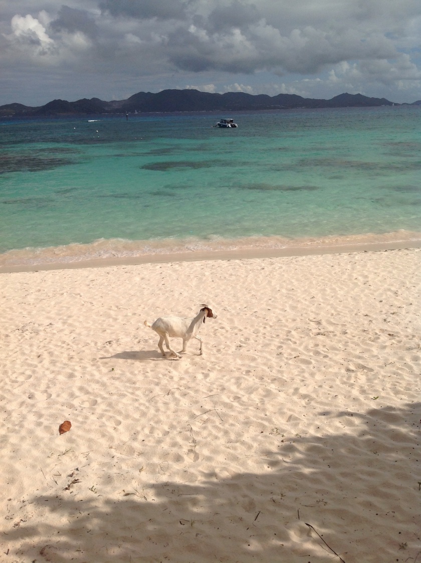 Everyone loves the beach in Anguilla!